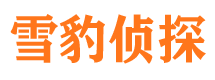 宣化寻人公司